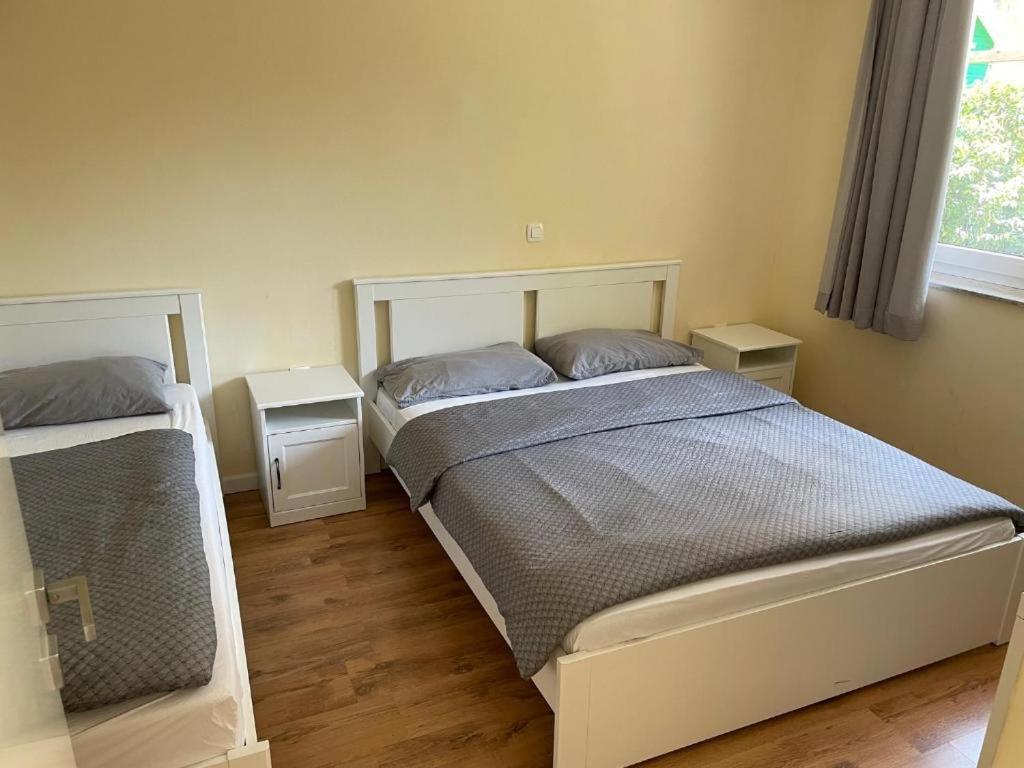 R41 - Tivoli Groundfloor Apartment Ljubljana Buitenkant foto