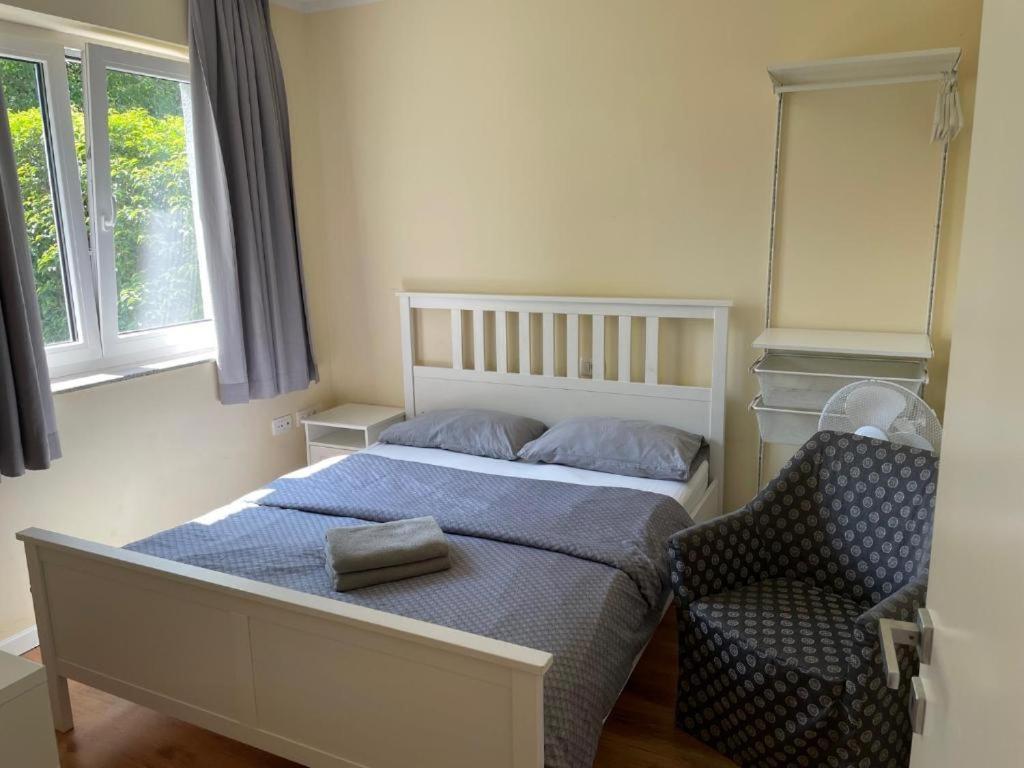 R41 - Tivoli Groundfloor Apartment Ljubljana Buitenkant foto