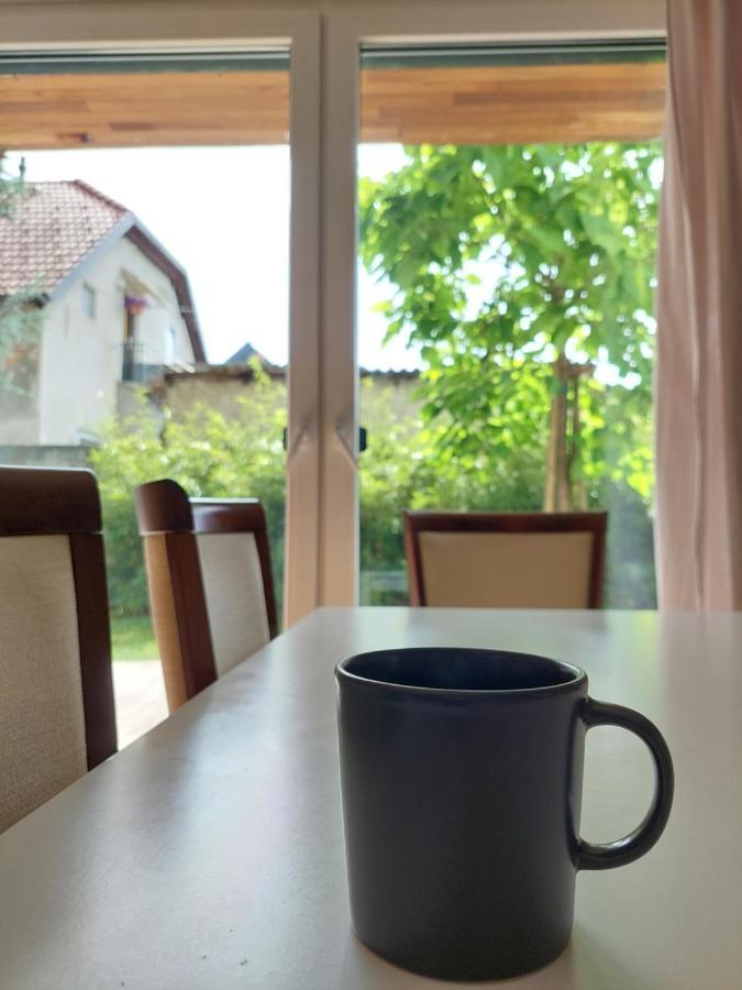 R41 - Tivoli Groundfloor Apartment Ljubljana Buitenkant foto